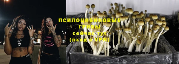 дурь Аркадак