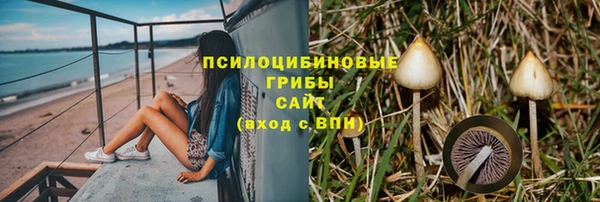 дурь Аркадак