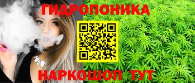 скорость Обь