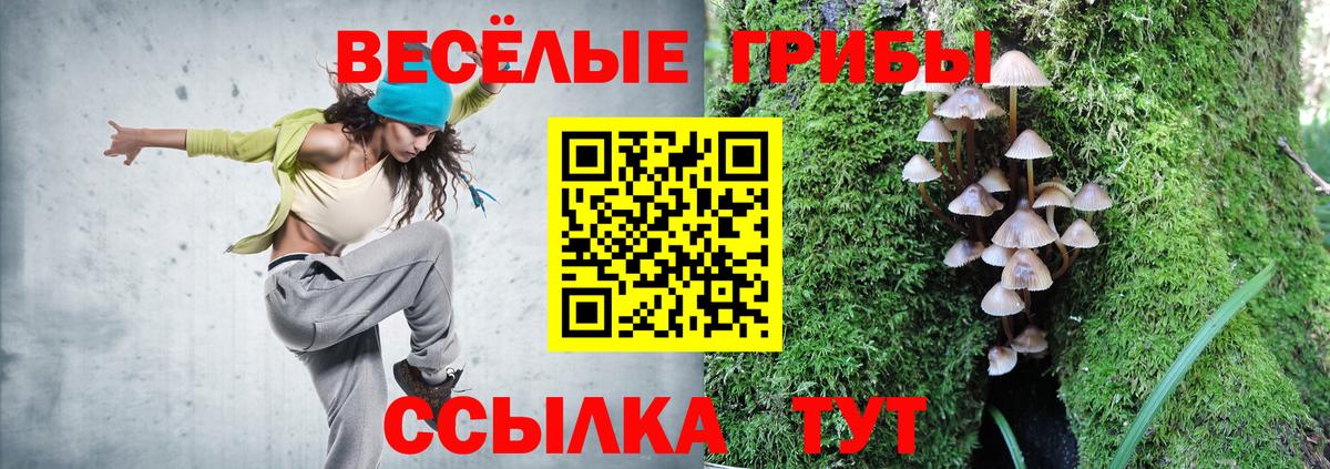 Псилоцибиновые грибы Psilocybe  Псилоцибиновые грибы Psilocybine cubensis  Вход с VPN  Полевской 